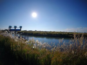 畑　風景　241125